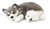 Pelúcia Alaskan Husky - Perfect Petzzz