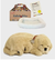 Pelúcia Golden Retriever - Perfect Petzzz - comprar online