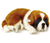 Pelúcia St Bernard - Perfect Petzzz