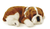 Pelúcia Bulldog - Perfect Petzzz