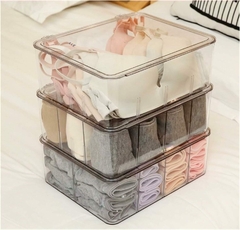 Organizador- Caja Con Tapa Transparente con Divisiones - tienda online