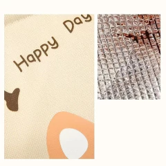 Bolso Lunchera Vianda Térmica Porta Alimento Infantil Kawaii - Anantrade- My shop Kawaiii