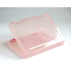 Carpeta plástica translucida Rosa para Hojas A4 documentos Origen Japan en internet