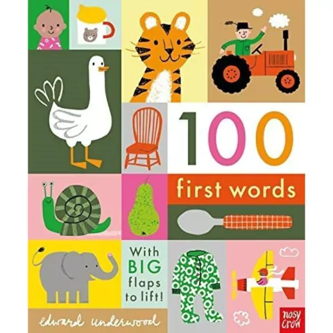 100 FIRST WORDS - with big flaps to lift.-