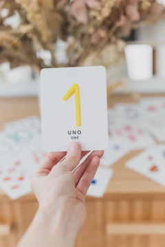 FLASH CARDS NÚMEROS PLASTILINA - comprar online