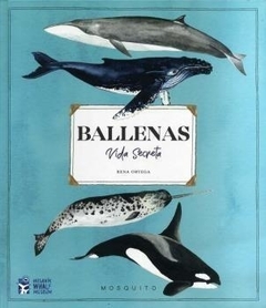 BALLENAS - vida secreta