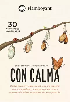 CON CALMA - CARTAS CON ACTIVIDADES.-