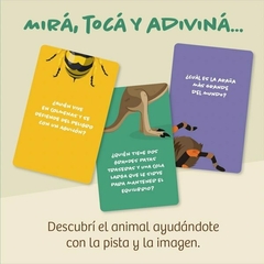 Quién es - Cartas de adivinanzas en internet