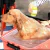 Cepillo de baño para mascotas 04019 Celeste en internet