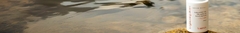Banner de la categoría VITAMINA C