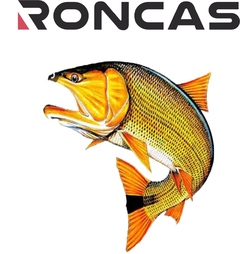 CALCOMANIA CON RELIEVE - DORADO