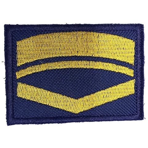 Insignia Auxiliar Mayor (8505158)