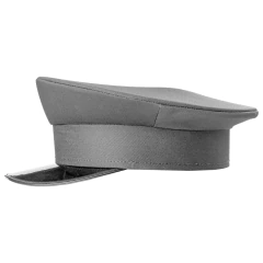 Gorra Plato Gris sin Atributos (8305001) - comprar online