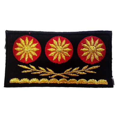 Insignia Oficial Prefecto General Penitenciaría (7700658)