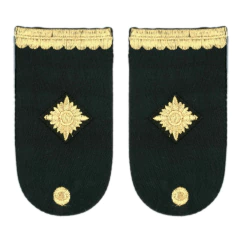 Hombrera Oficial Sub Comisario (7703105) - comprar online