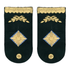 Hombrera Oficial Comisario Inspector (7703121) - comprar online