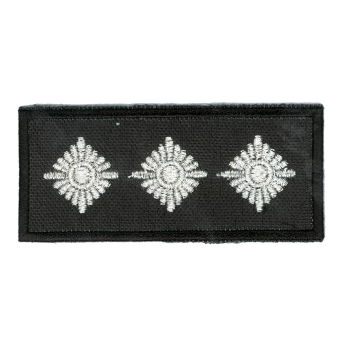 Insignia Oficial Principal (8505243)