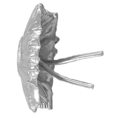 Rombo Metálico 22 mm Plateado (7707154) - comprar online