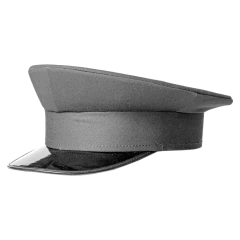 Gorra Plato Gris sin Atributos (8305001)