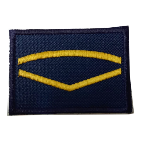 Insignia Auxiliar 1° (8505157)