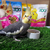 Megazoo Mix de Sementes Calopsita Tropical (500g) - buy online