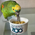 Megazoo Extrusada Papagaio Super Premium (600g) on internet