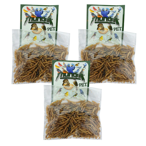 3un - Thunder Tenébrio Molitor Desidratado 10g