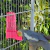 Kit Bebedouro e Comedouro Calopsita Rosa N°2 en internet