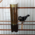 Image of Comedouro Automático Sertão Âmbar Malha Fina Injetfour (100ml) - 1un