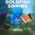 Kit Ração para Peixes Goldfish Sinking Kinguios 50g, Spirulina Flocos 12g e Color Pro 12g - Nutricon on internet