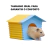 Kit Hamster - Comedouro, Bebedouro, Casinha - Amarelo on internet