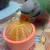 Imagem do Comedouro Decorado para Calopsita | Periquito | Agaporni (70ml) - 6un