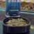 Kit Ração para Peixes Goldfish Sinking Kinguios 50g, Spirulina Flocos 12g e Color Pro 12g - Nutricon - online store