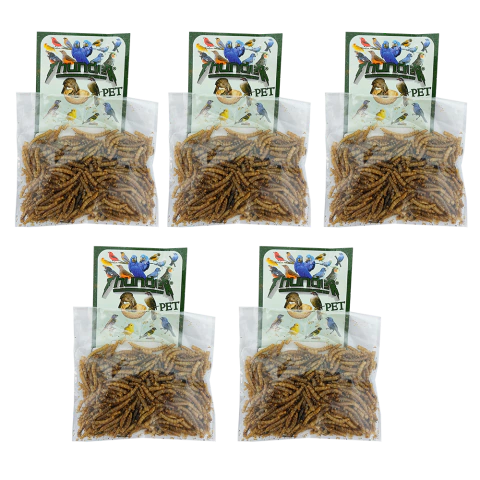 5un - Thunder Tenébrio Molitor Desidratado 10g