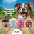 Prefere Gelato Especial para Cães - Chocolate (50g) - comprar online