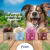Prefere Gelato Especial para Cães - Chocolate (50g) - buy online