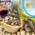 2UN - Tortinha para Hamster Prefere com Mel e Ovos (30g) en internet
