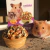 2UN - Tortinha para Hamster Prefere com Mel e Ovos (30g) - tienda online