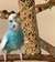 Imagem do Prefere Bastão de Sementes Calopsita, Agapornis e Periquito (45g) - Mel e Ovos