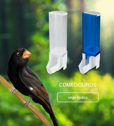 Carrossel 1