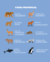 PREVENTA BUZO MAPA FAUNA DELANTERO