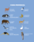 PREVENTA BUZO MAPA FAUNA TRASERO - tienda online