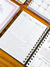Planner Financeiro A5 Capa Duo na internet
