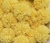 Pompom de Malha ou Tule 2.5cm- 10 Unids. na internet