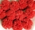 Pompom de Malha ou Tule 2.5cm- 10 Unids. - Atacadão das Fitas 