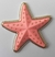 Imagem do Aplique Estrela do Mar 3.5 cm