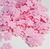 Imagem do Florzinha Prensada - 50 Unids.