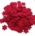 Florzinha Prensada - 50 Unids. - loja online