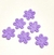 Imagem do Florzinha Prensada - 50 Unids.