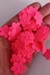 Florzinha Prensada Neon - 50 Unids. na internet